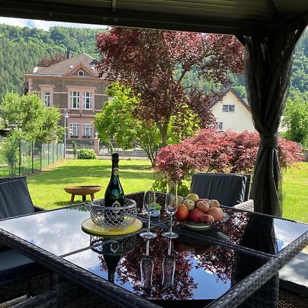 Neu - Ferienwohnungen Im Winzergarten Трабен-Трарбах Экстерьер фото
