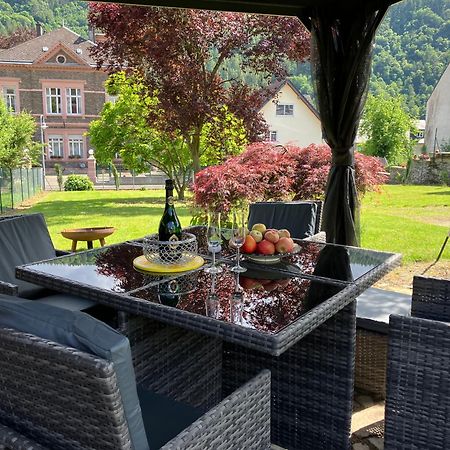 Neu - Ferienwohnungen Im Winzergarten Трабен-Трарбах Экстерьер фото