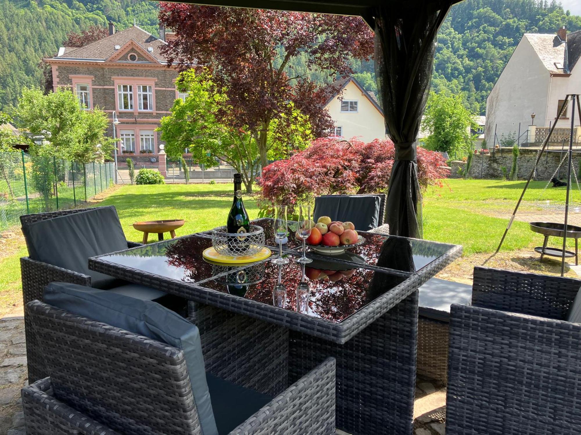 Neu - Ferienwohnungen Im Winzergarten Трабен-Трарбах Экстерьер фото