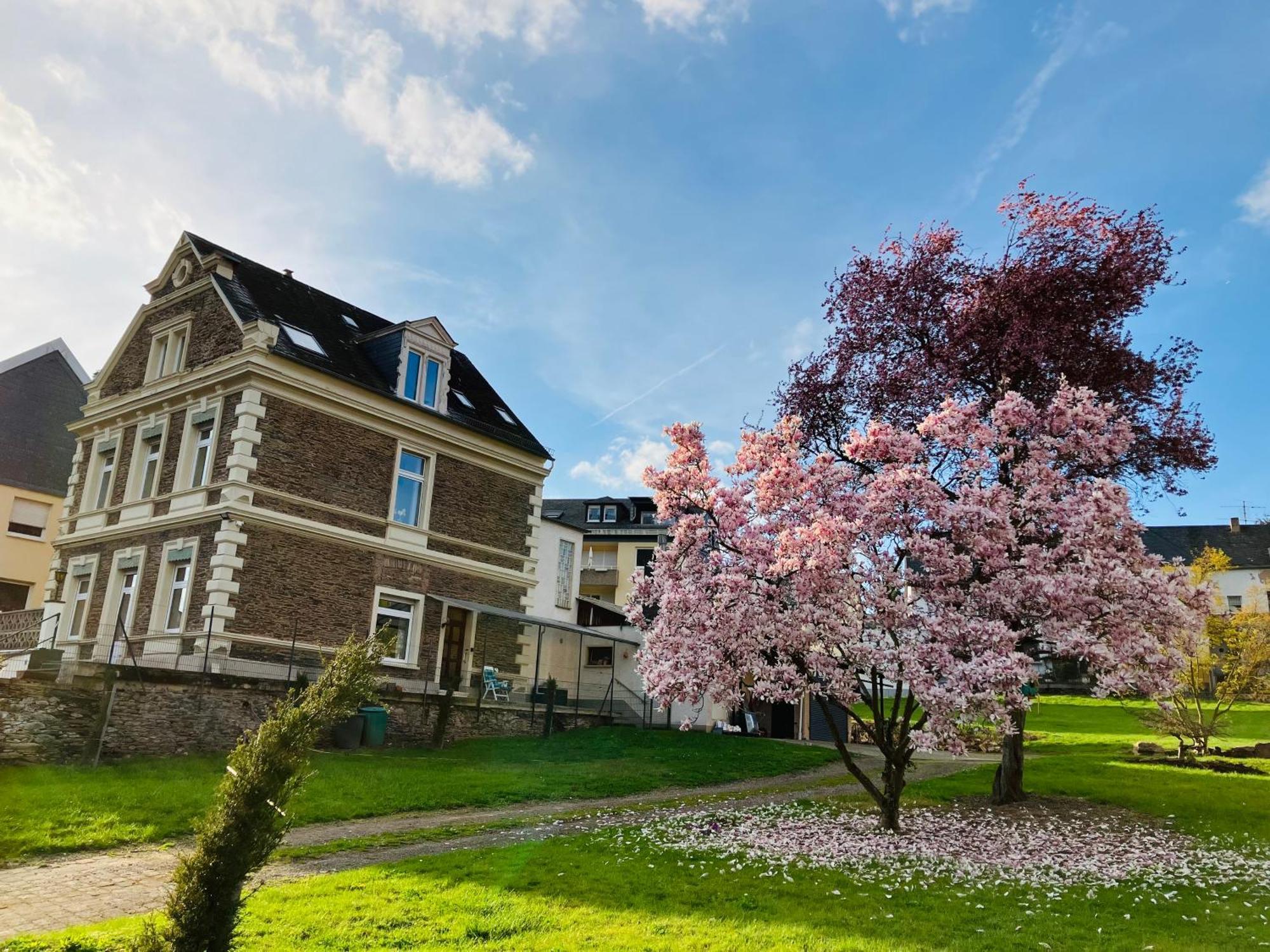 Neu - Ferienwohnungen Im Winzergarten Трабен-Трарбах Экстерьер фото
